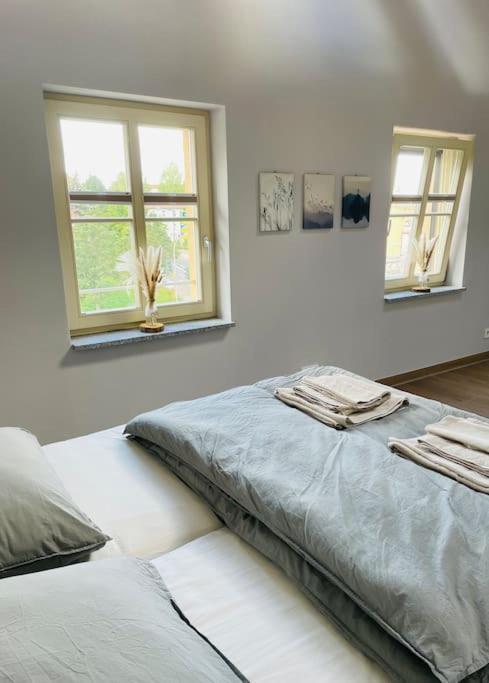 Traumvilla Im Herzen Hainichens Экстерьер фото